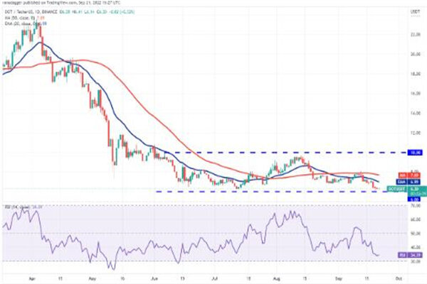 波卡币价格今日行情 DOT币最新行情资讯-第3张图片-芝麻交易所下载